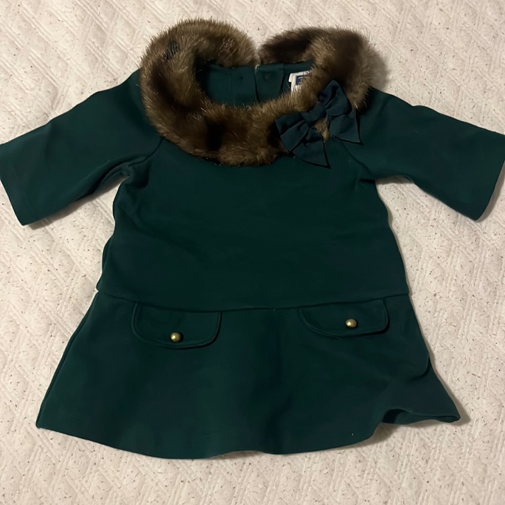 Green Faux Fur Collar Dress